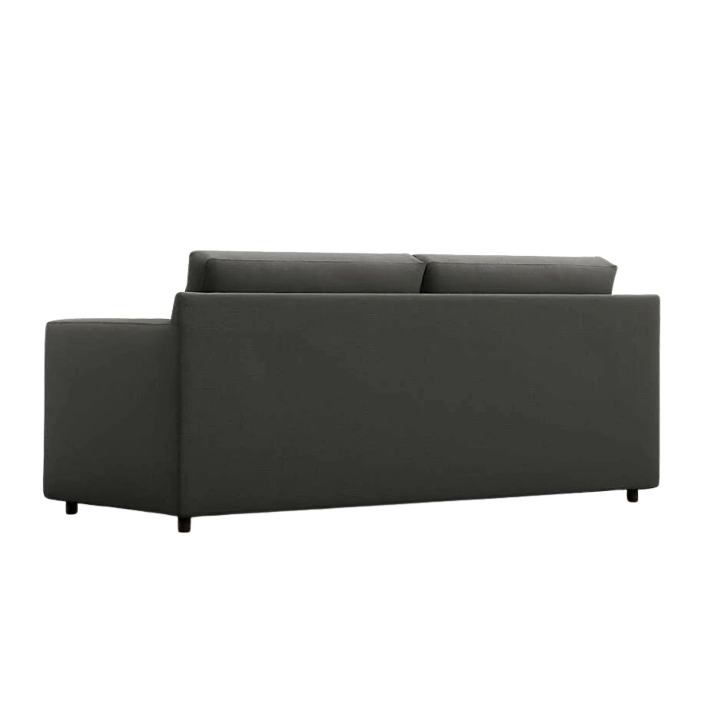 Fusion Sofa Cum Bed, 2 Seater, Black