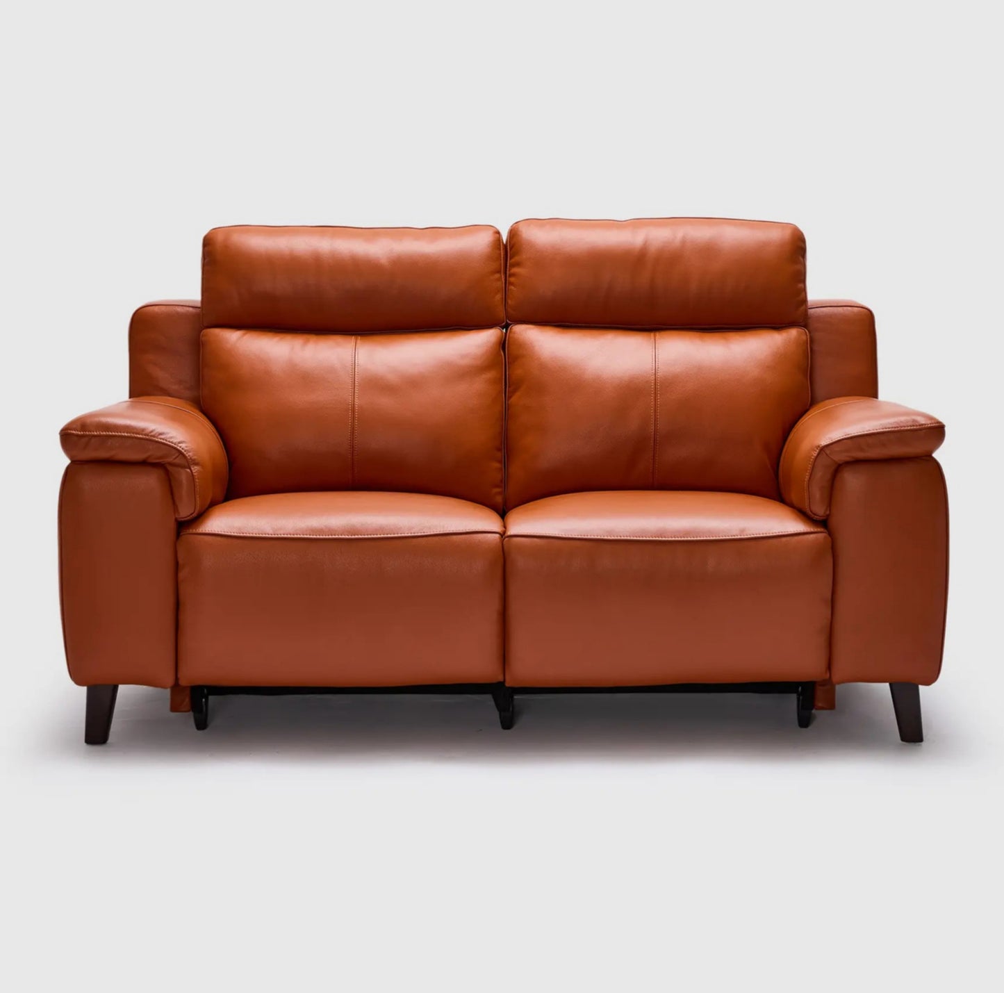 Dane 2 Seater Dual Electric Recliners & Headrests