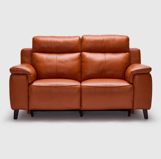 Dane 2 Seater Dual Electric Recliners & Headrests