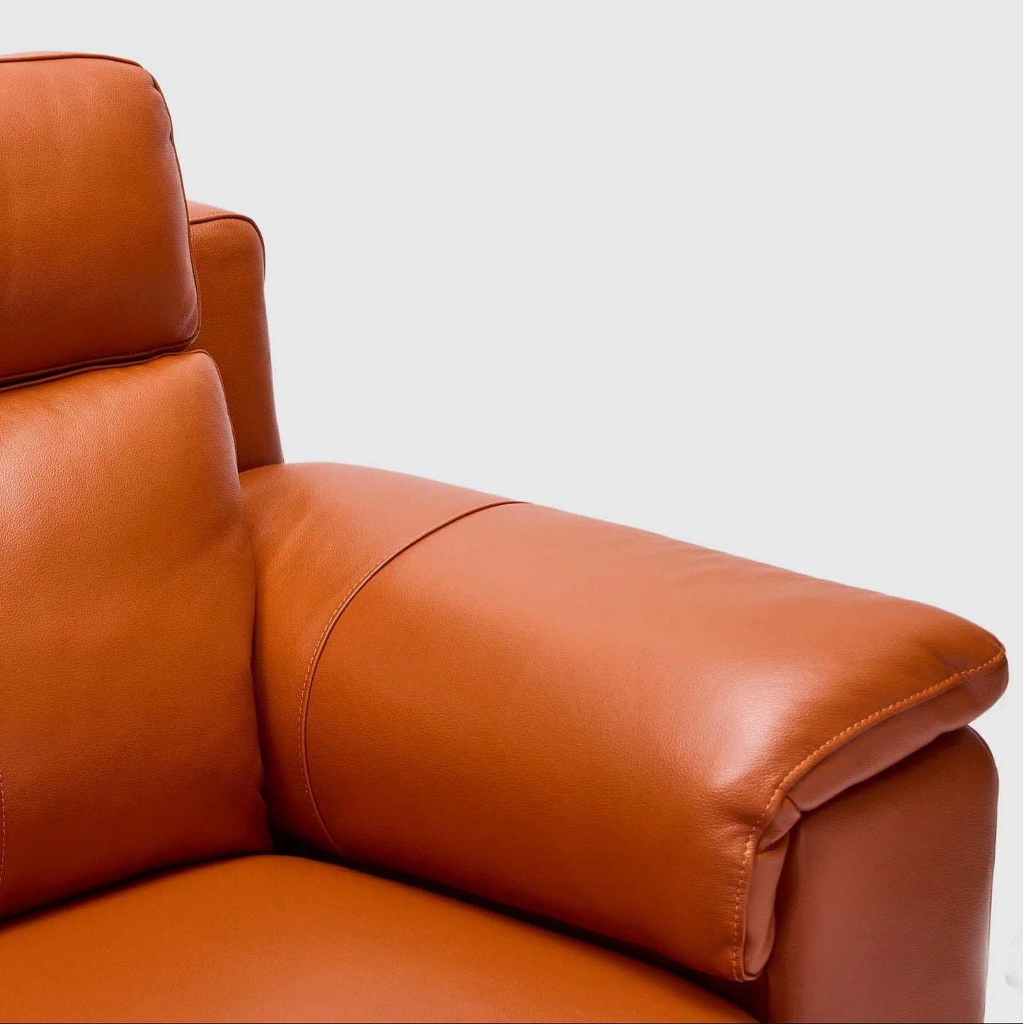 Dane 2 Seater Dual Electric Recliners & Headrests