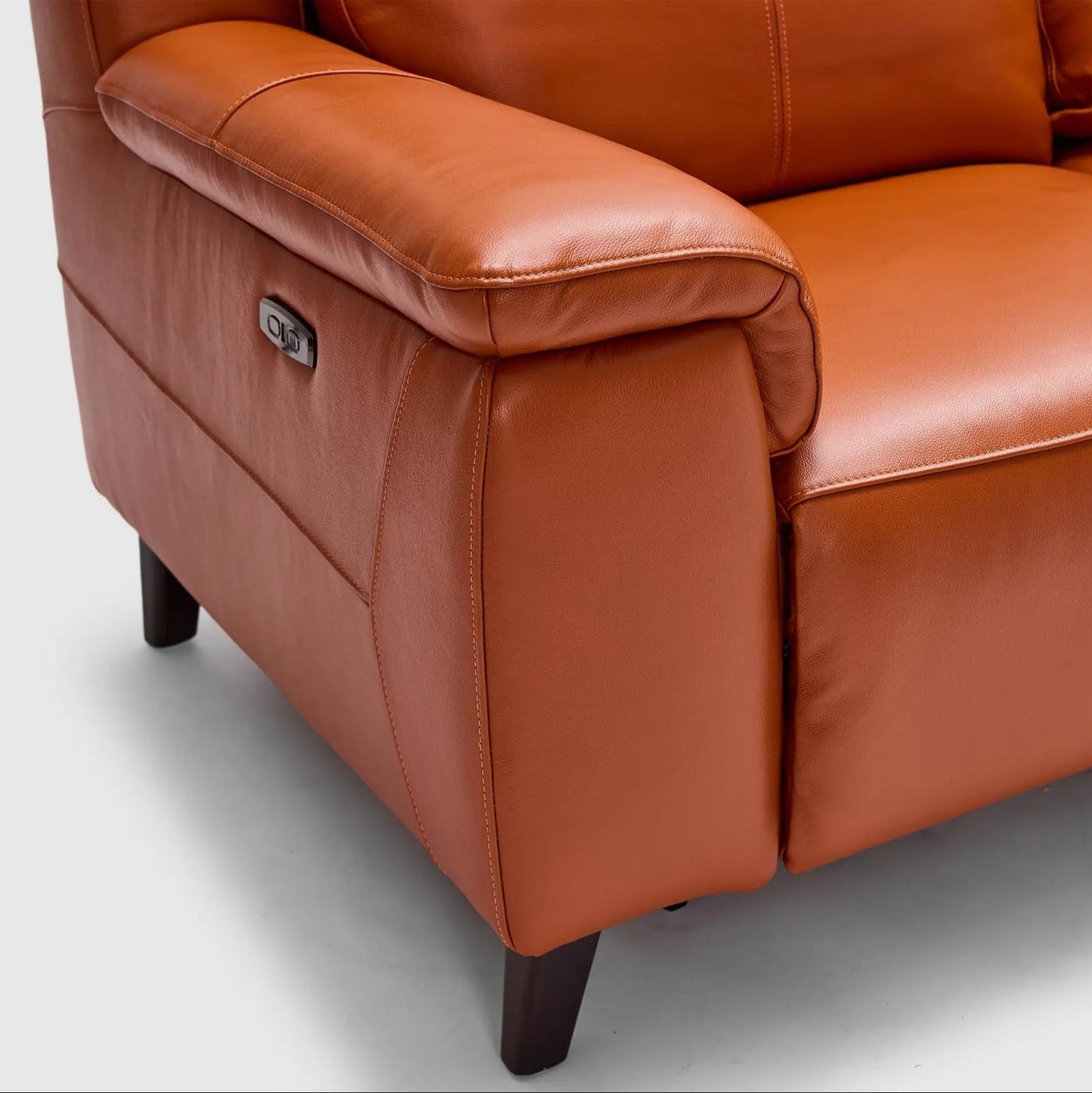 Dane 2 Seater Dual Electric Recliners & Headrests