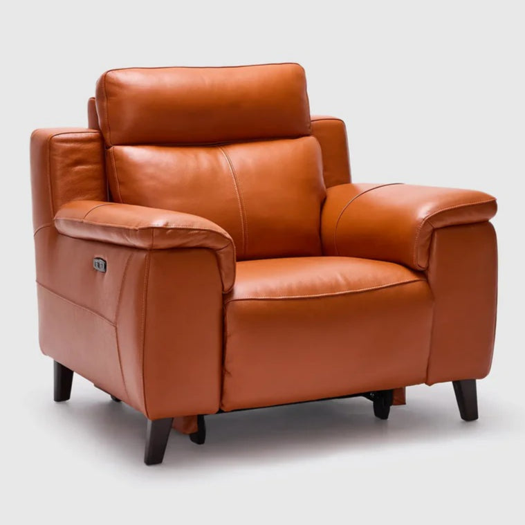 Dane Armchair With Electric Recliner & Headrest