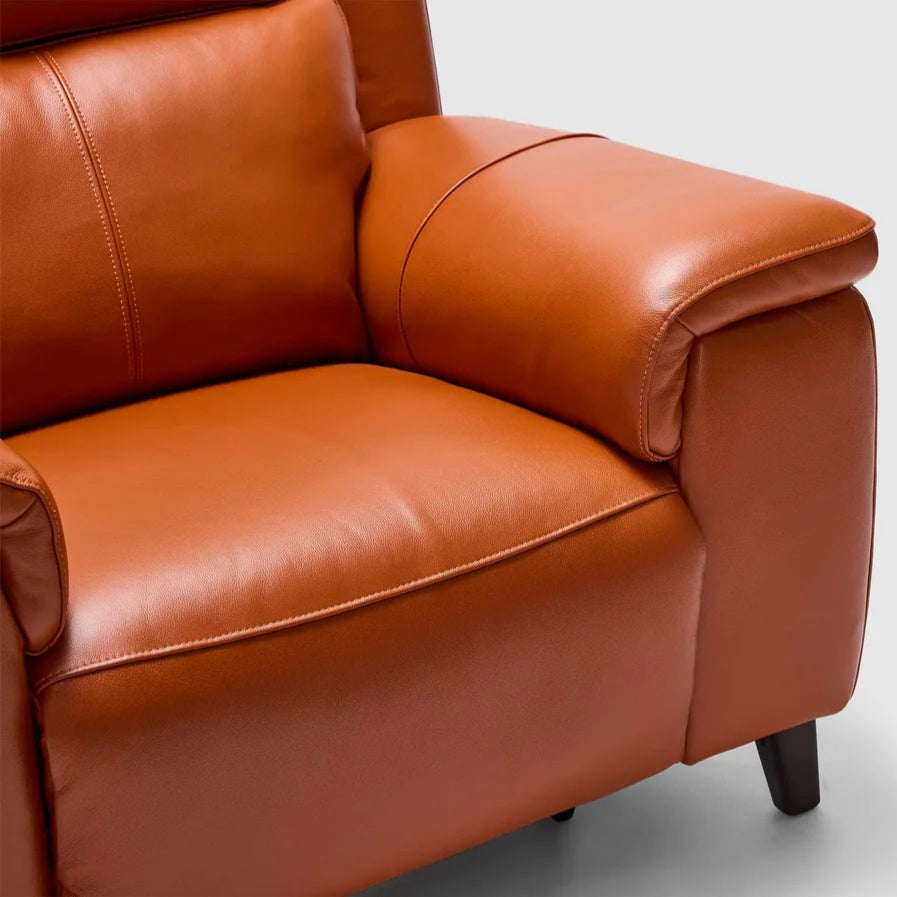 Dane Armchair With Electric Recliner & Headrest