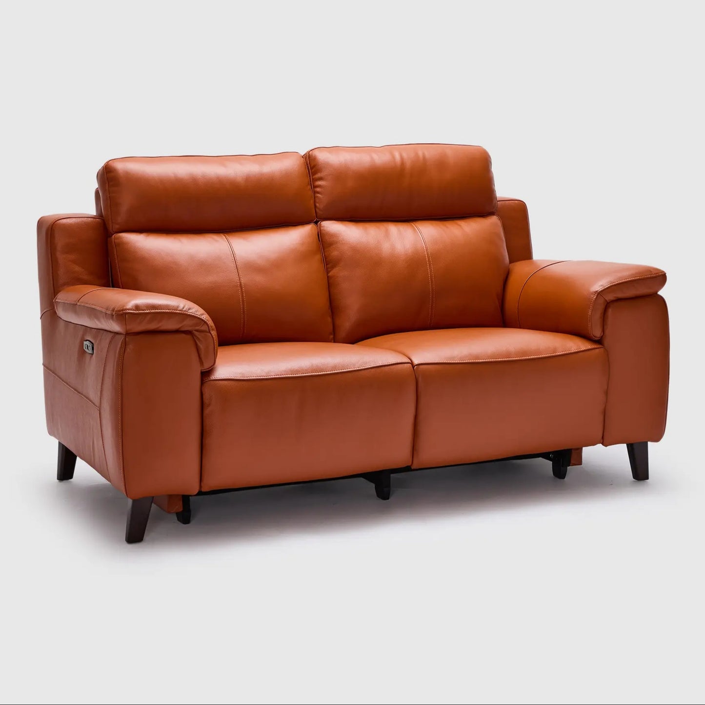 Dane 2 Seater Dual Electric Recliners & Headrests