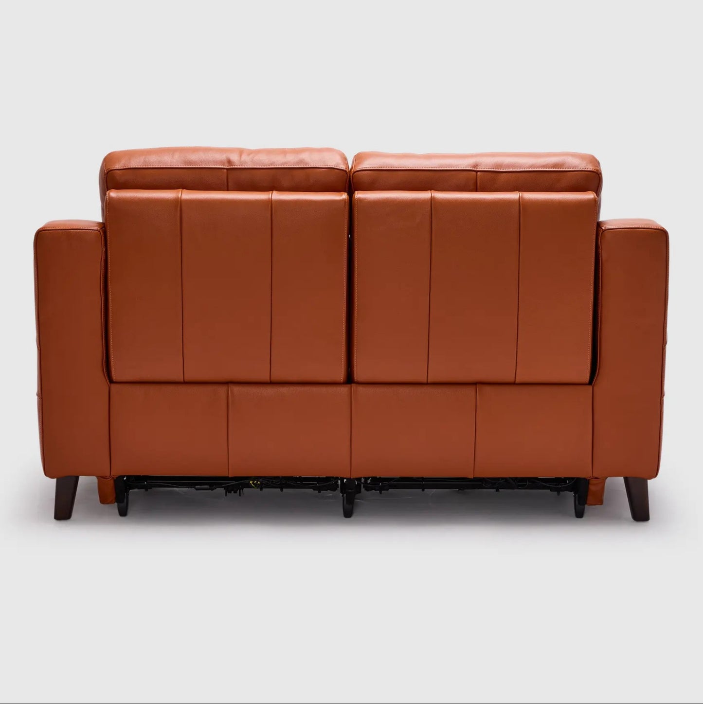Dane 2 Seater Dual Electric Recliners & Headrests