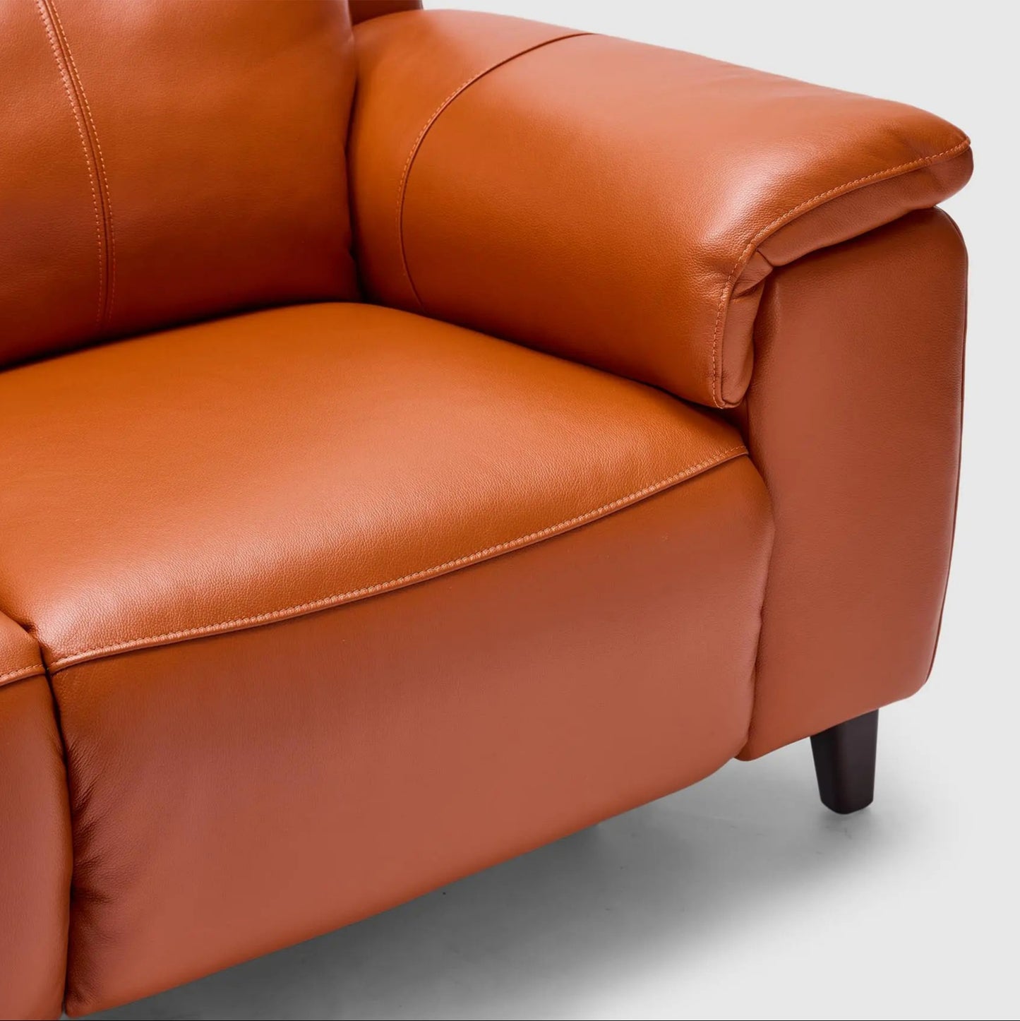Dane 2 Seater Dual Electric Recliners & Headrests