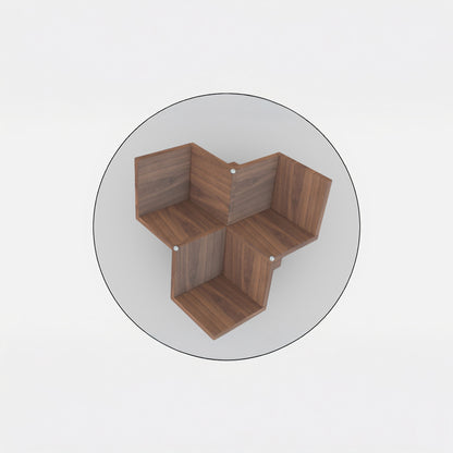 Starlink Coffee Table, Walnut